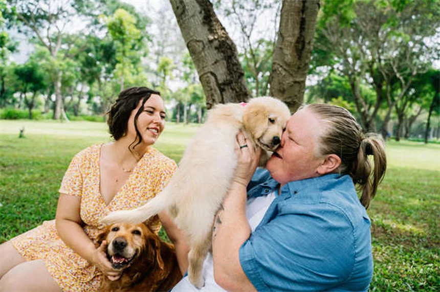 犬のマダニチェックはなぜ必要？愛犬と家族を守る3つの理由と正しい探し方