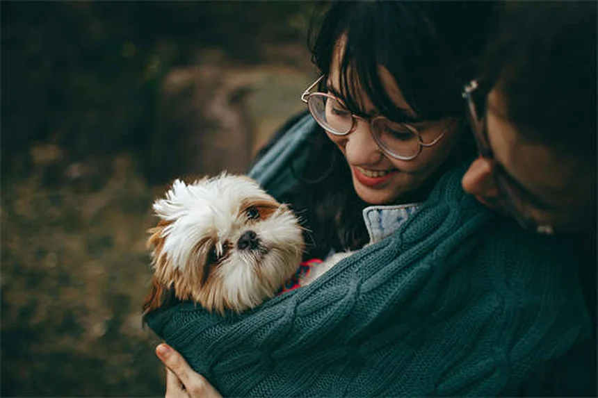 コセクインとダスキンの違いとは？愛犬・愛猫の関節サプリの選び方